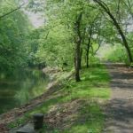 Bronx Park
