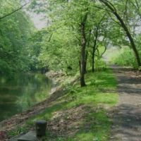 Bronx Park ico