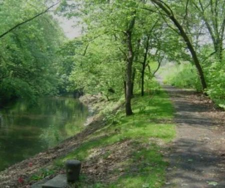 Bronx Park