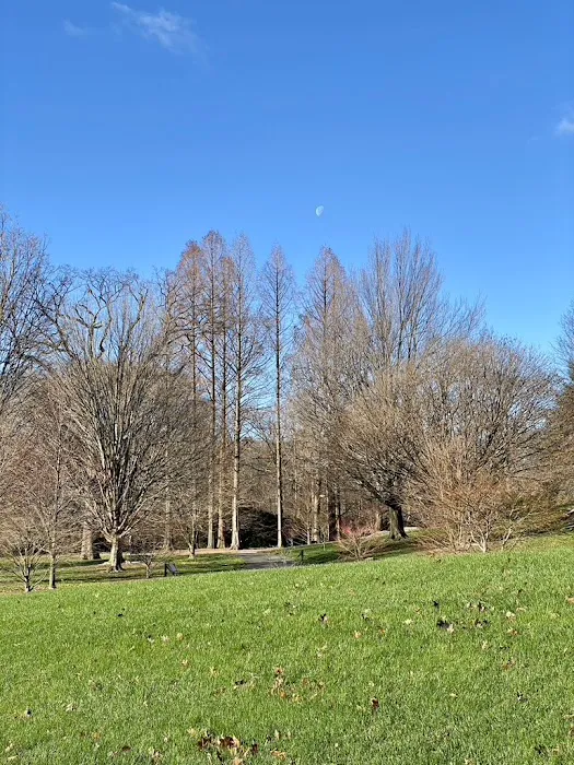 Bronx Park Picture 6