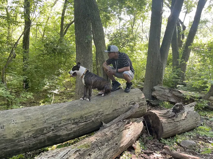 Bronx Park Picture 5