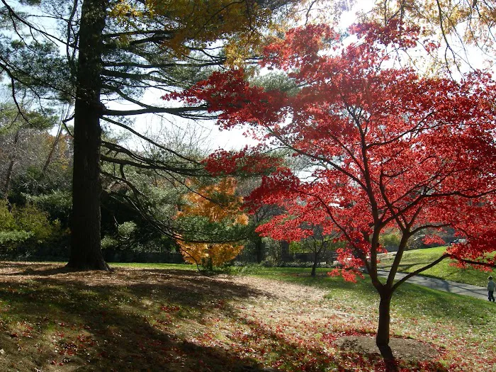 Bronx Park Picture 4