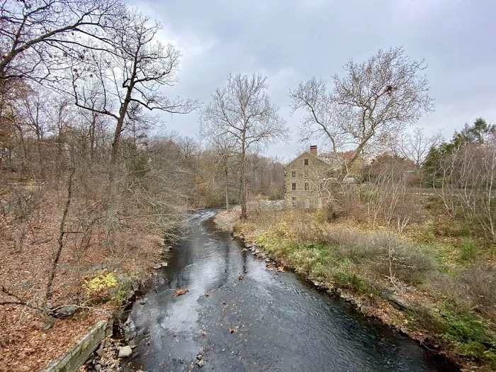 Bronx Park Picture 8
