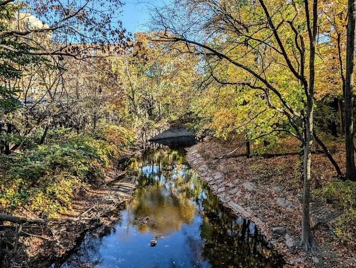Bronx Park Picture 10