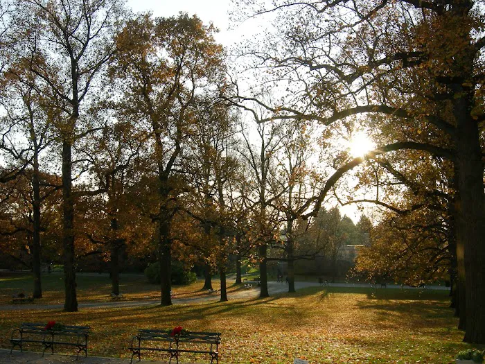 Bronx Park Picture 9
