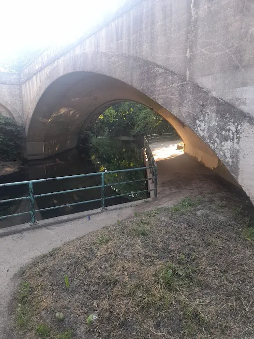 Bronx Park Picture 3
