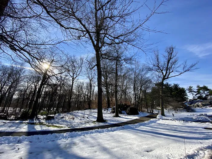 Daffodil Hill Picture 4
