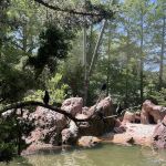 Sea Bird Aviary
