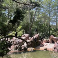 Sea Bird Aviary ico