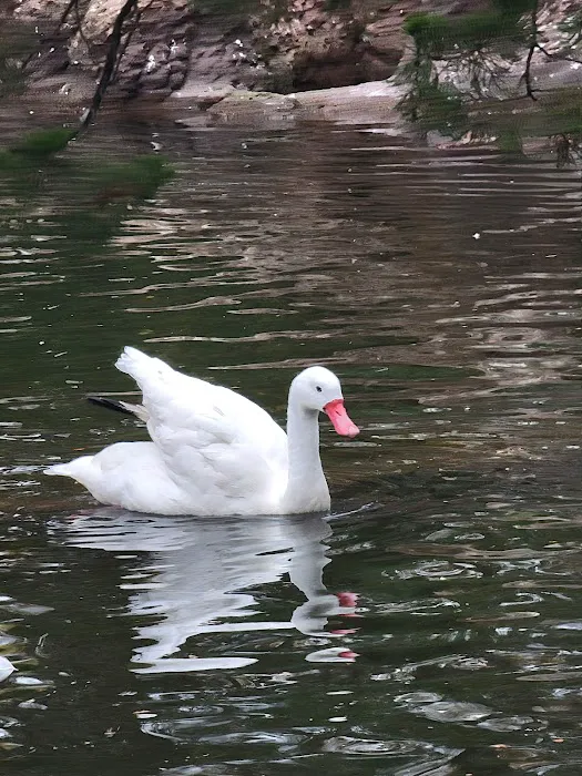 Sea Bird Aviary Picture 4