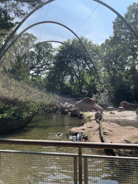 Sea Bird Aviary Picture 5