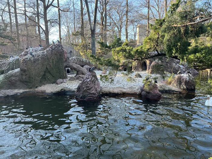 Sea Bird Aviary Picture 7