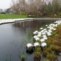 Native Plant Garden, NYBG ico