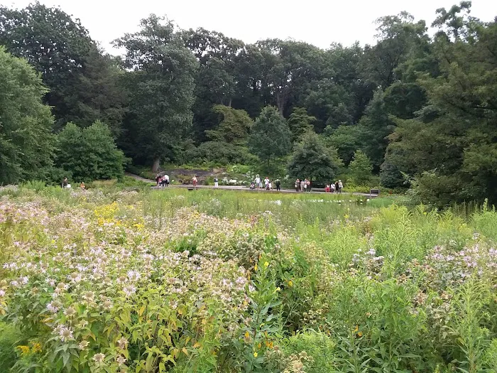 Native Plant Garden, NYBG Picture 6