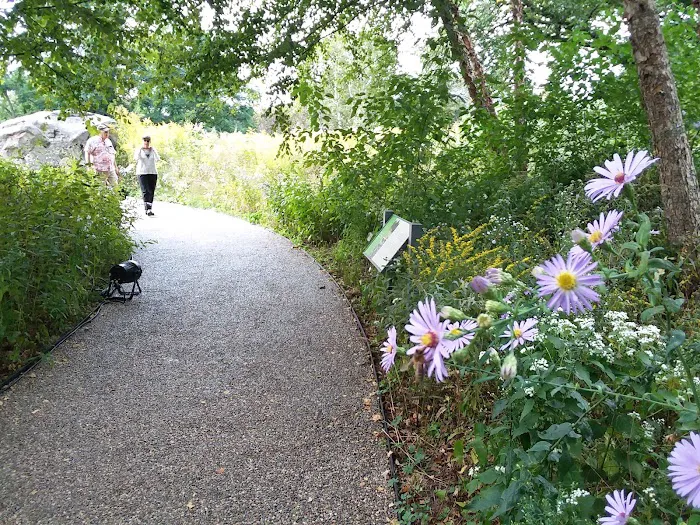 Native Plant Garden, NYBG Picture 4