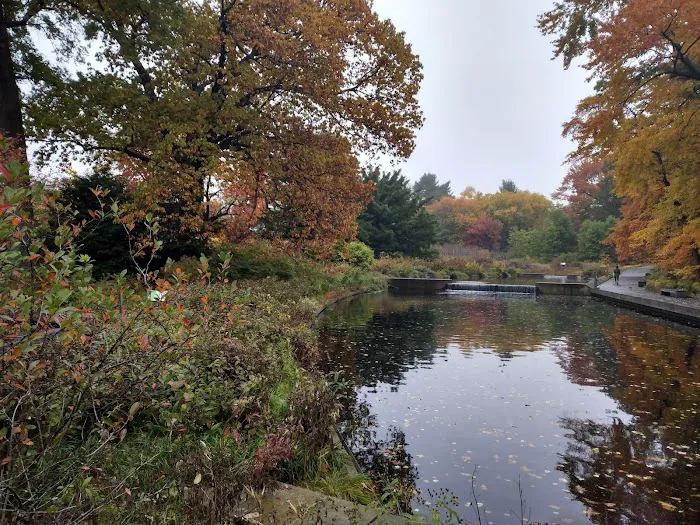 Native Plant Garden, NYBG Picture 9