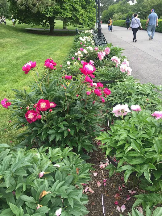 Ross Conifer Arboretum Picture 8
