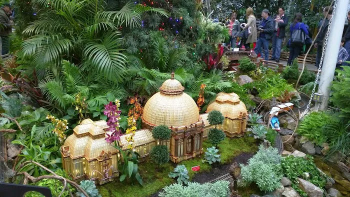 Ross Conifer Arboretum Picture 2