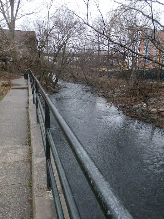 Bronx River Community Garden Picture 1