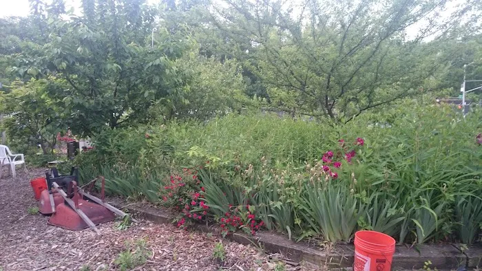 Bronx River Community Garden Picture 7