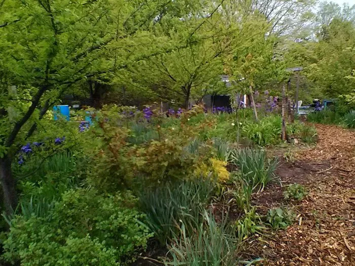 Bronx River Community Garden Picture 4
