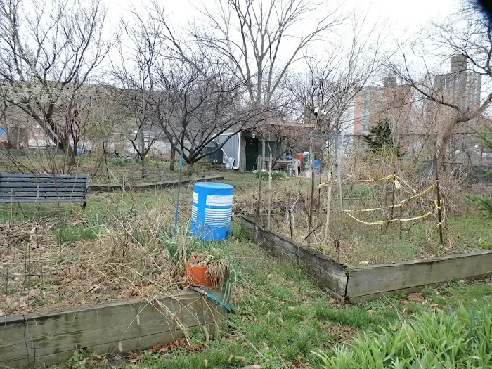 Bronx River Community Garden Picture 2