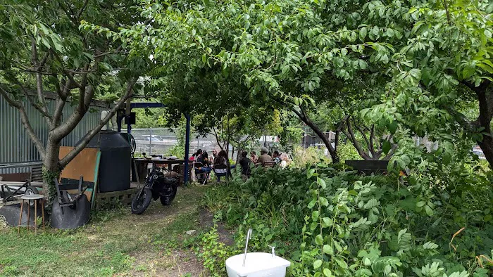Bronx River Community Garden Picture 3