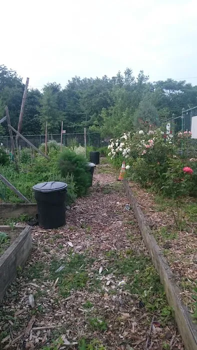 Bronx River Community Garden Picture 5