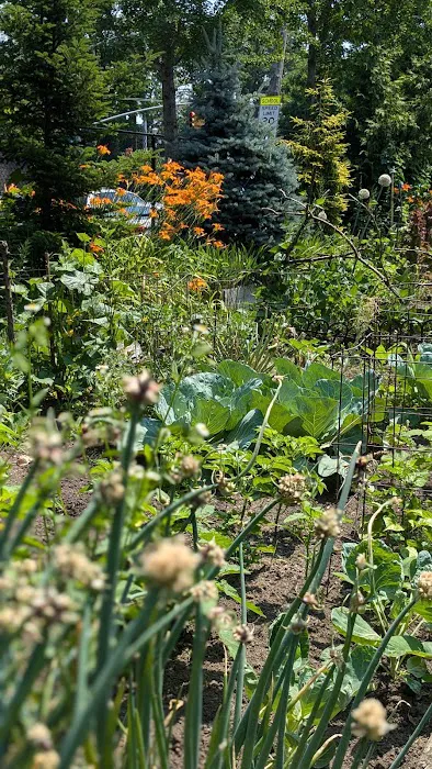Bronx River Community Garden Picture 9