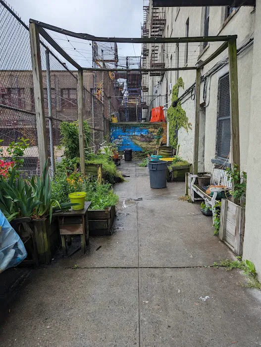 Bryant Green Up Garden Project Picture 2