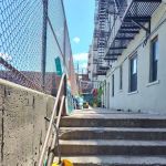 Bryant Green Up Garden Project