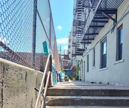 Bryant Green Up Garden Project