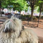 Colgate Close Park