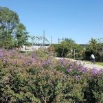 Bronx River Foodway