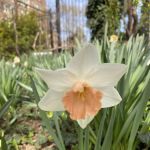 El Jardín de Hunts Point