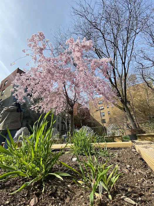 El Jardín de Hunts Point Picture 6