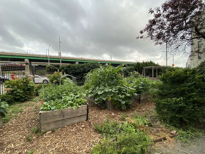 El Jardín de Hunts Point Picture 3