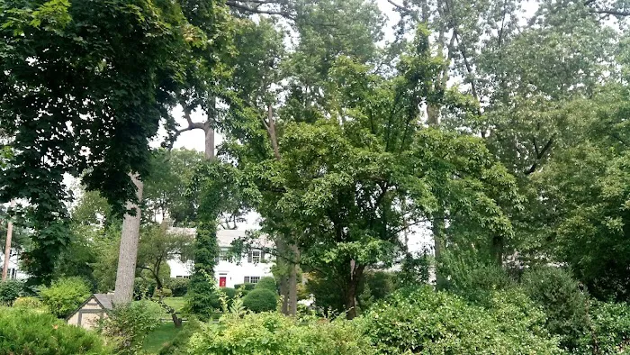 Bronxville Dog Park Picture 9