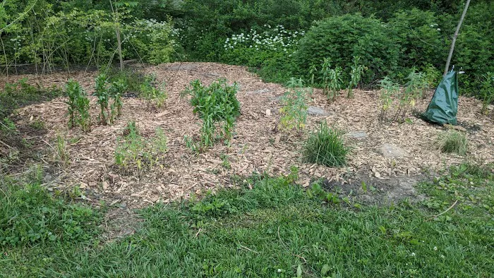 Bronxville Dog Park Picture 8