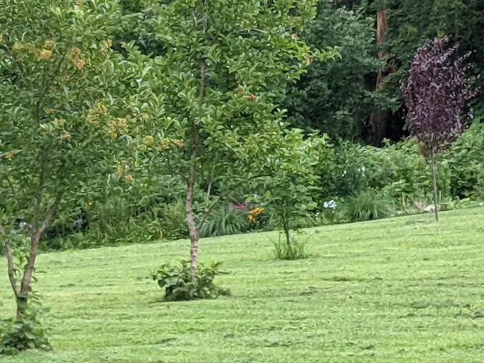 Bronxville Dog Park Picture 5