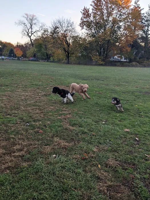 Bronxville Dog Park Picture 7