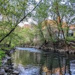 West Farms Rapids Park
