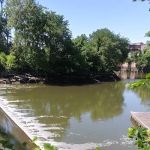 Bronx River Greenway