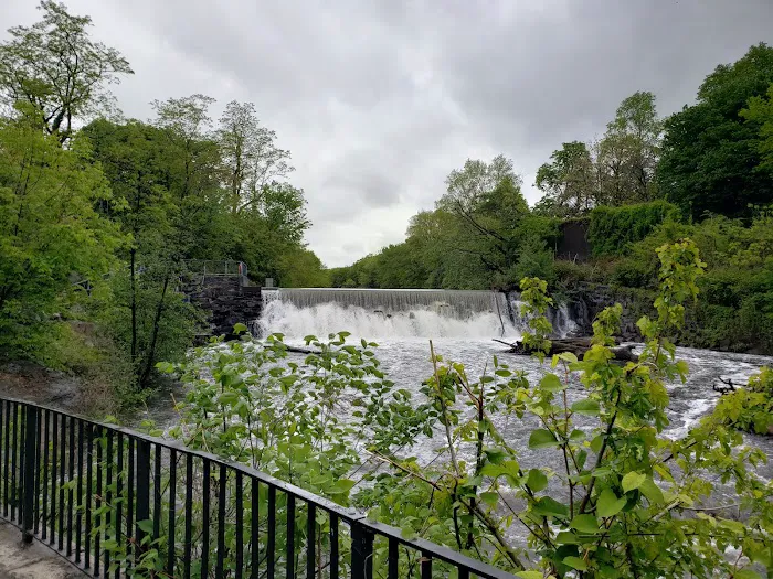 Bronx River Greenway Picture 6