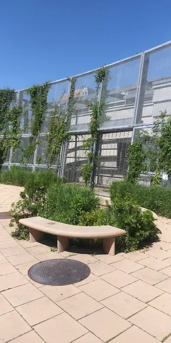 Bronx River Greenway Picture 3