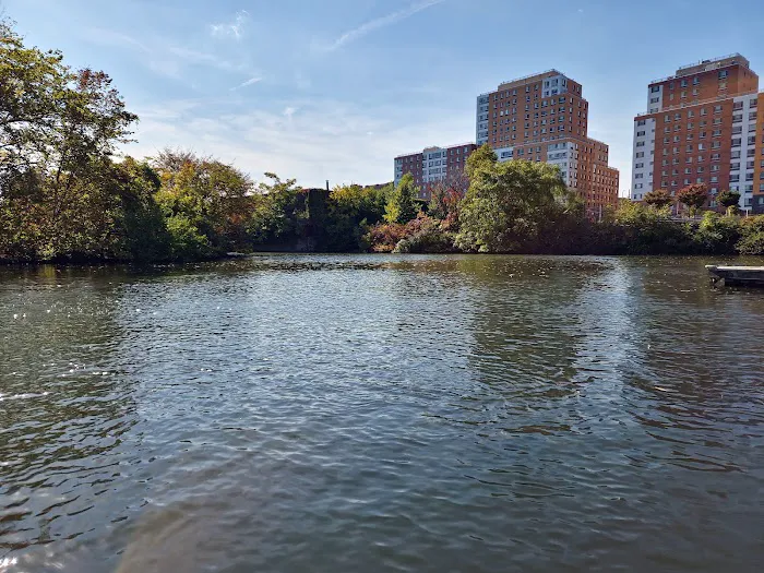 Bronx River Greenway Picture 7