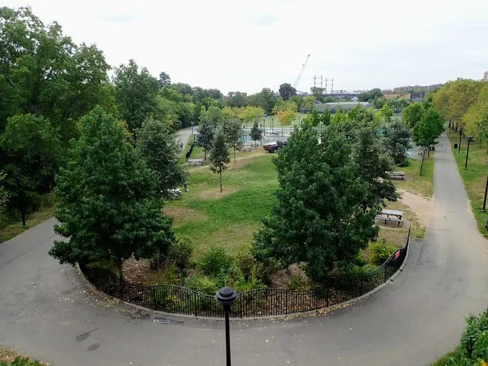 Starlight Park Picture 3