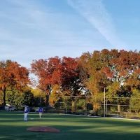 Hinton Park ico