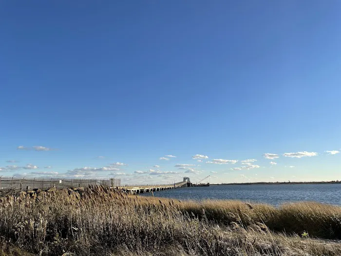 Hamilton Beach Park Picture 4