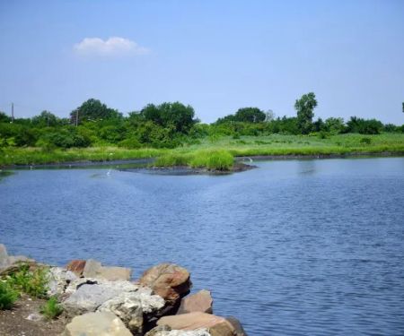 Spring Creek Park